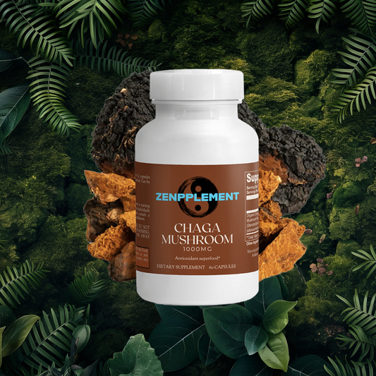 Chaga Mushroom